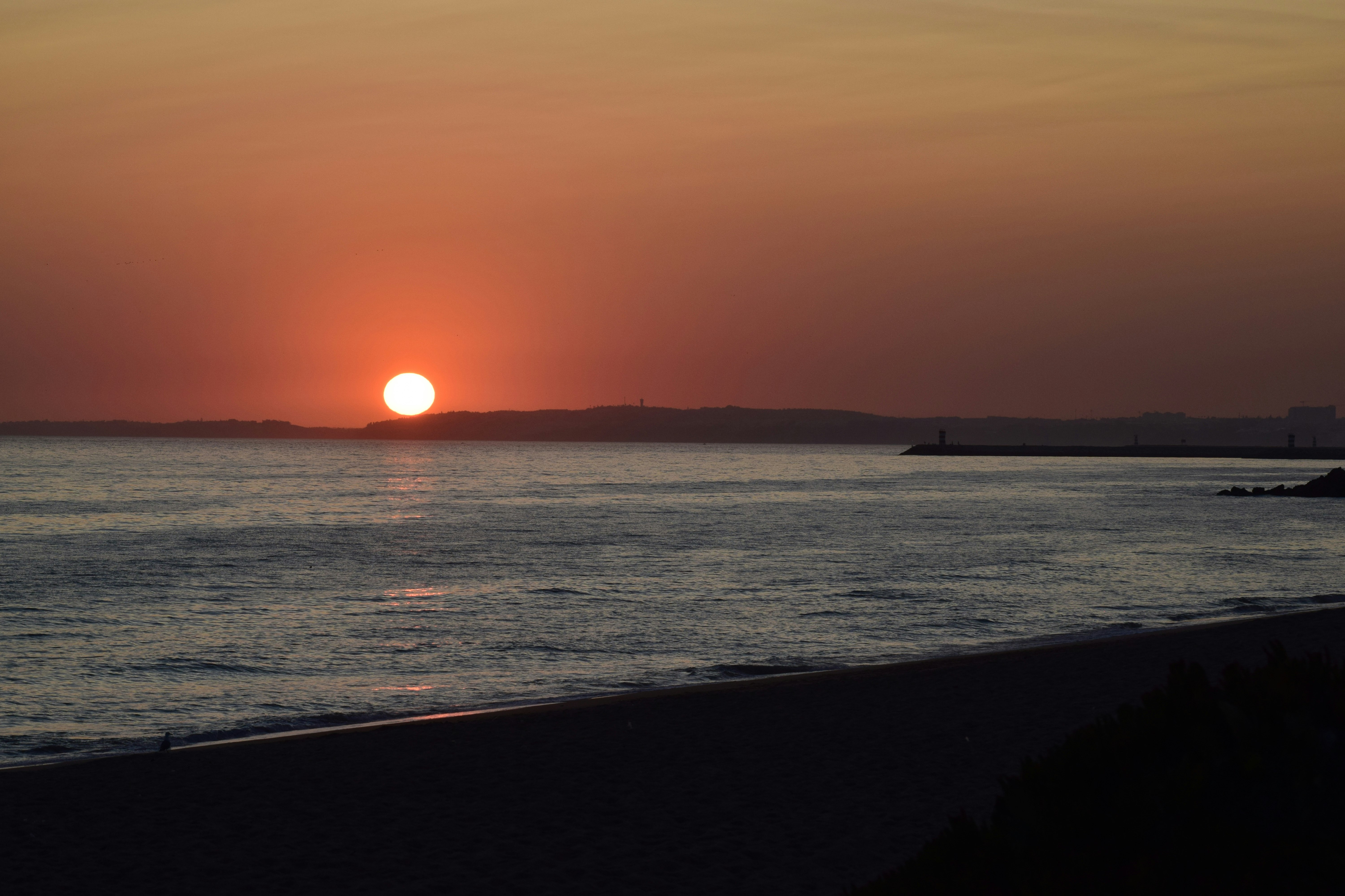 silhouette photography of seashore